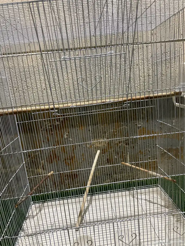 قفص طيور كبير 9