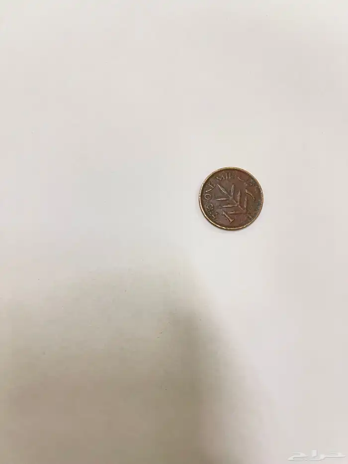 عمله فلسطين عام 1937 و1939 3