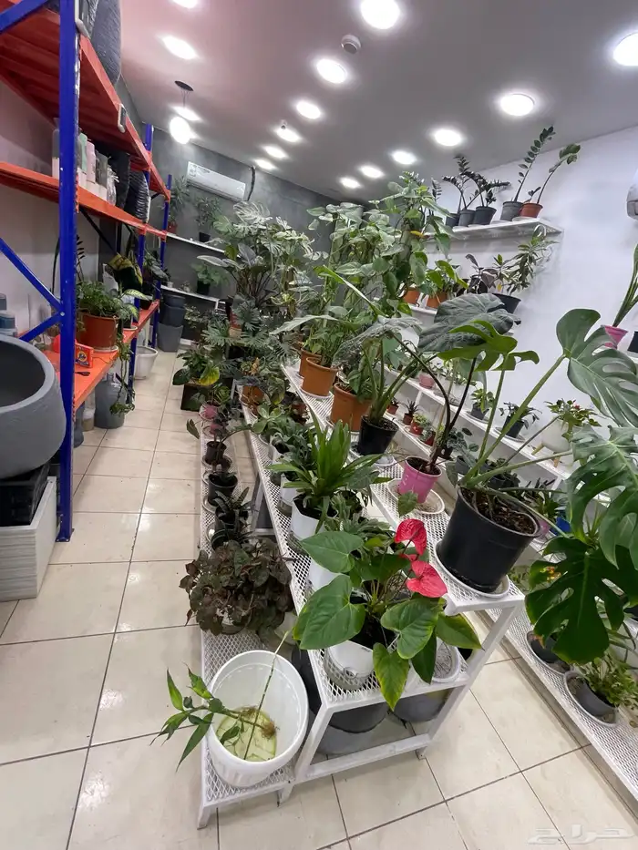 مشتل للبيع بضاعة محل كامل لتغيير النشاط 4