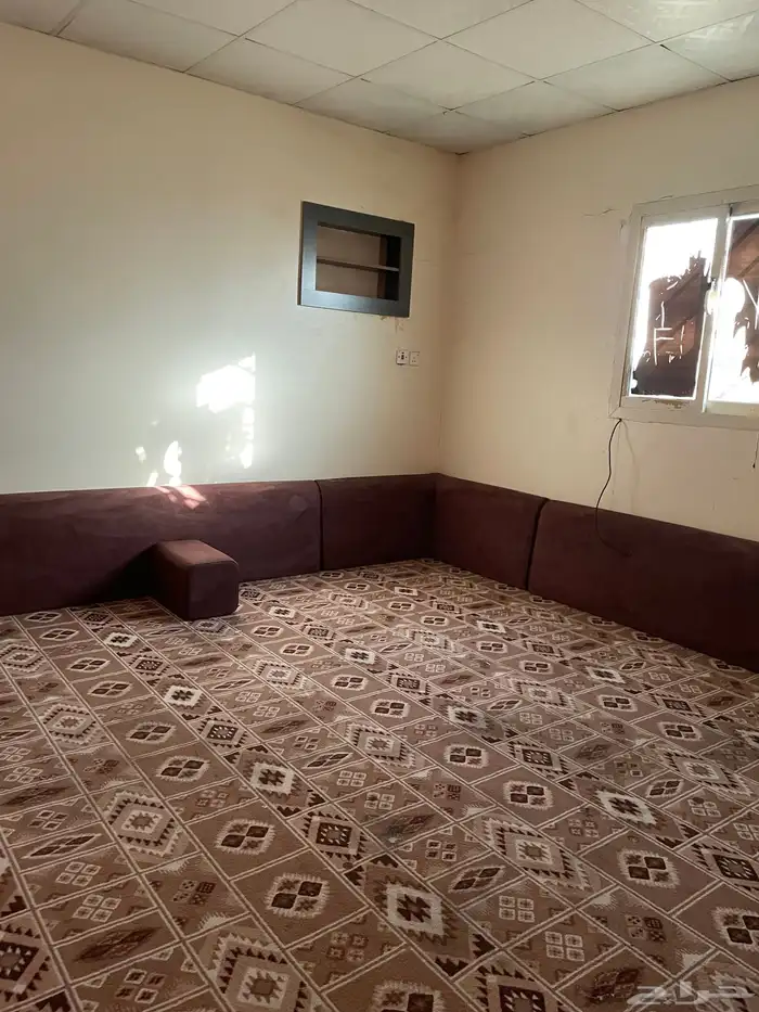 شقة عزاب ارضيه بالريان 1