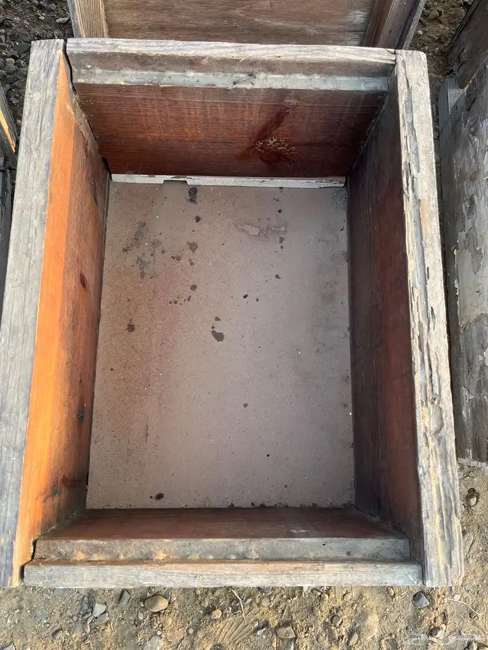 خلايا نحل افرنجي 15