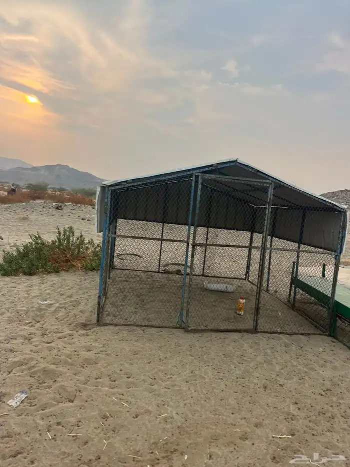 صندقتين للبيع وحده كبيره وحده وسط 1