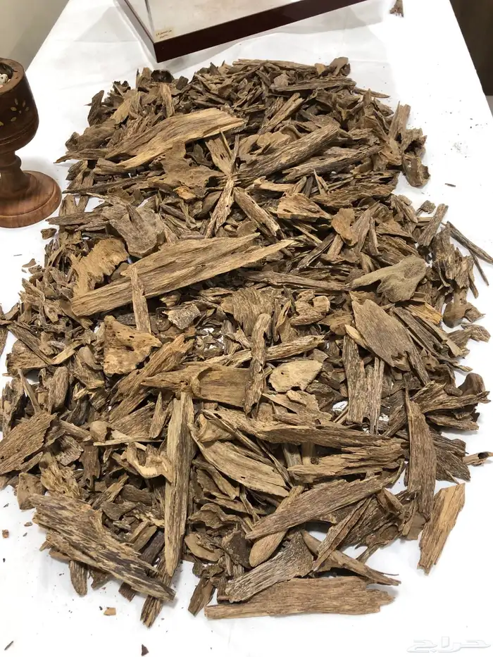 عود كلمنتان مالينو صيدة 0