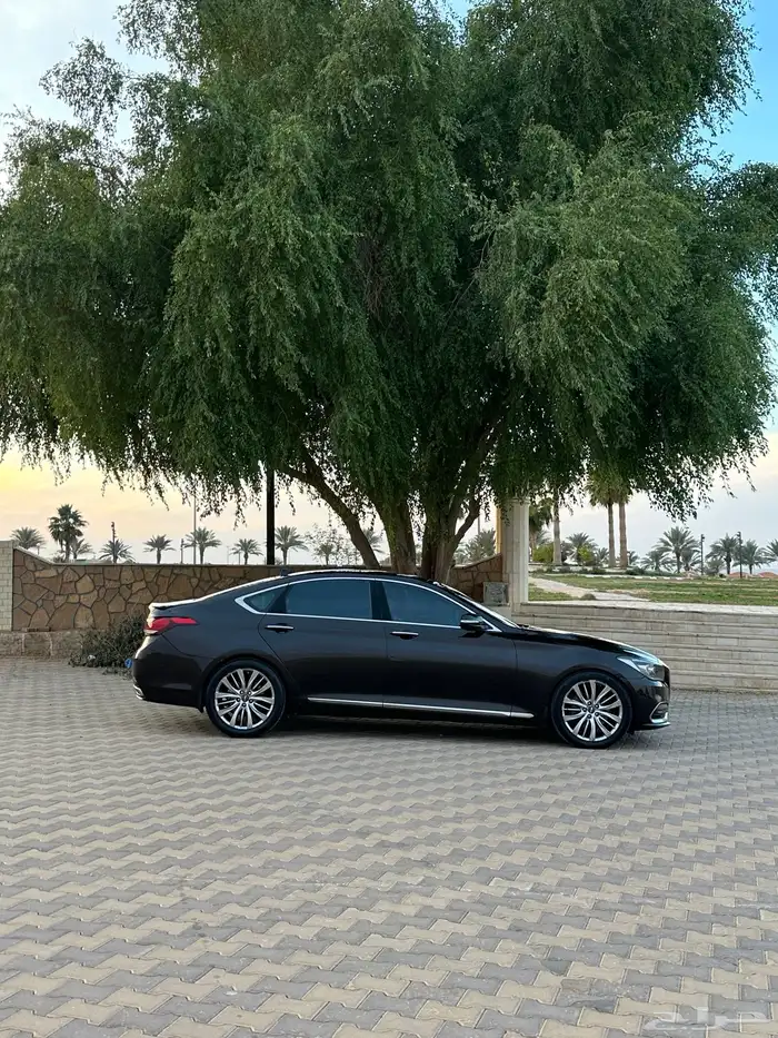 للبيع جينسس G80 م 2019 0