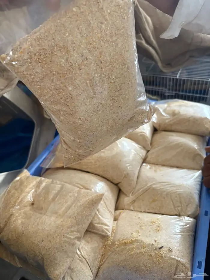 بط بكيني مطعم ومحصن 8