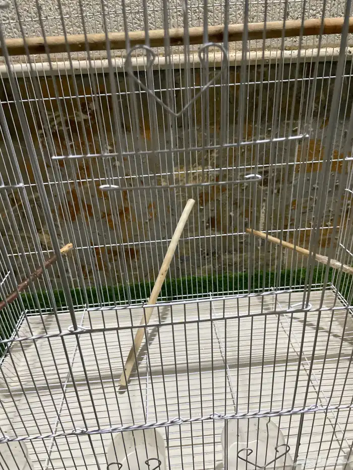 قفص طيور كبير 10