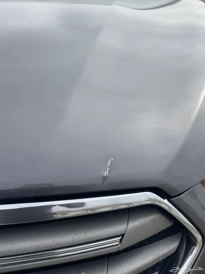 تورس 2013 رصاصي 10