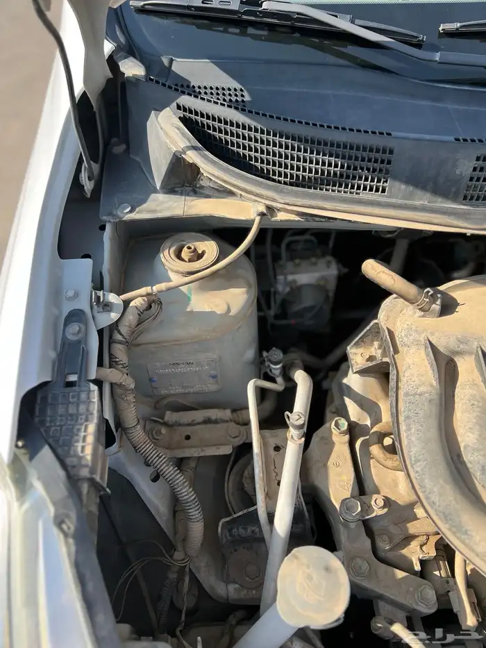 صني 2020 وكاله ممشى قليل 24