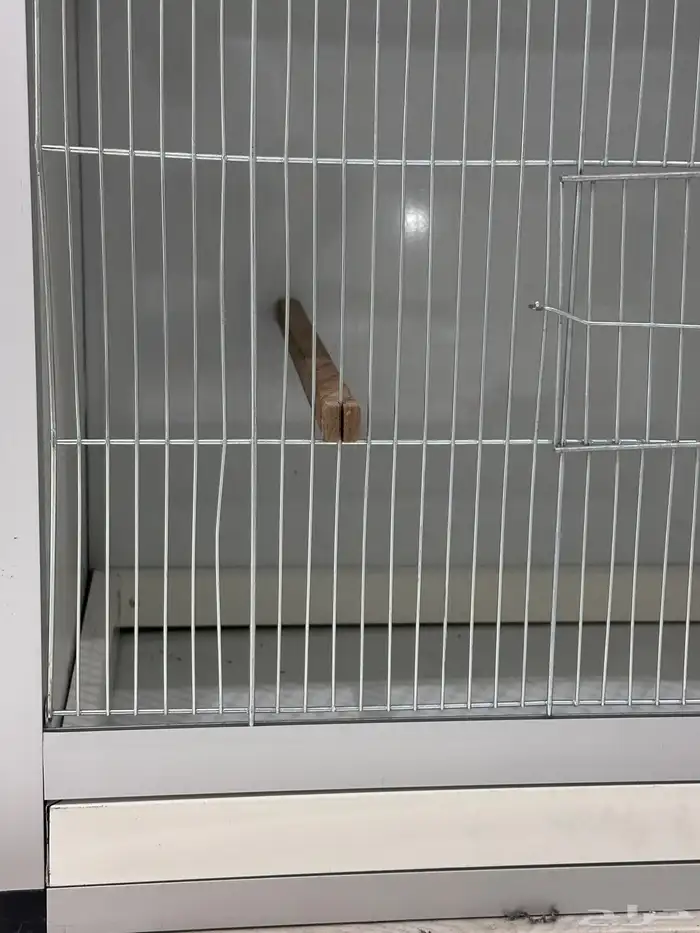 اقفاص طيور أوربية جديدة 2