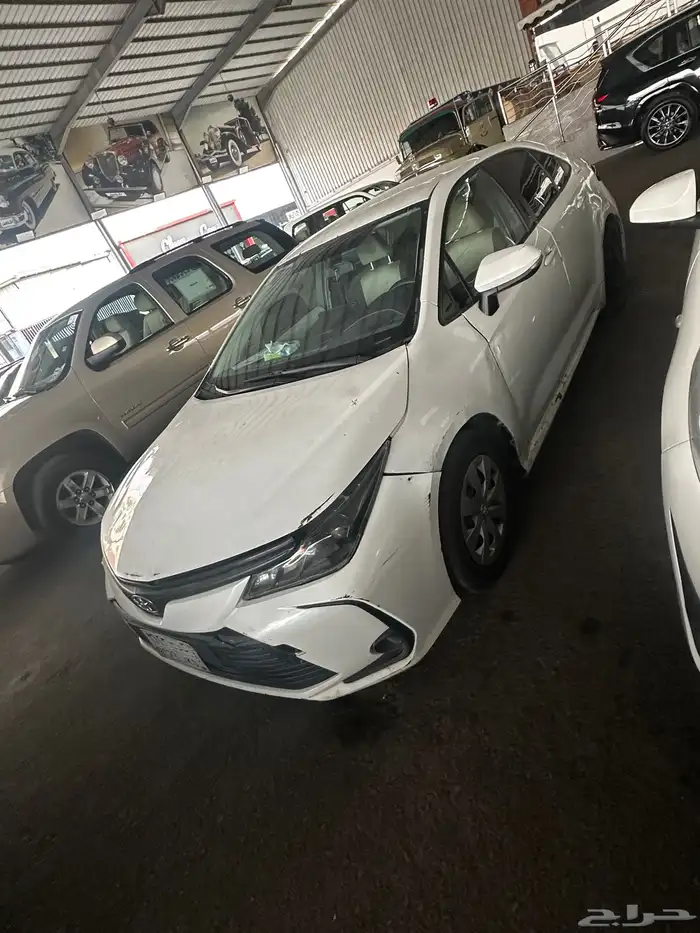 كورلا مديل 2020 1