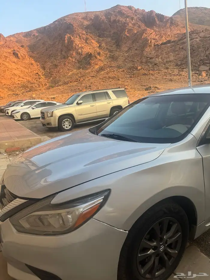 بيع التيما 2018 5