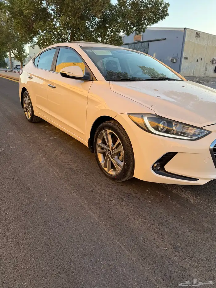 النتراء فل كامل نظيف 1