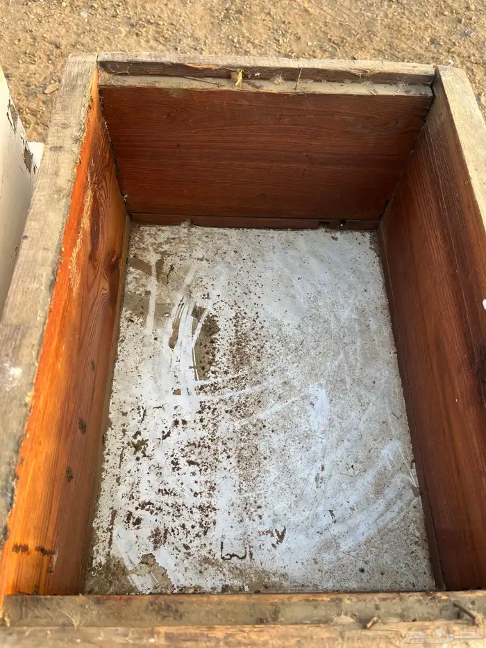 خلايا نحل افرنجي 10