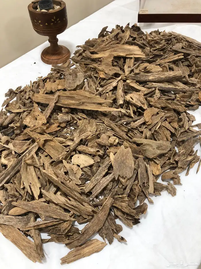 عود كلمنتان مالينو صيدة 1