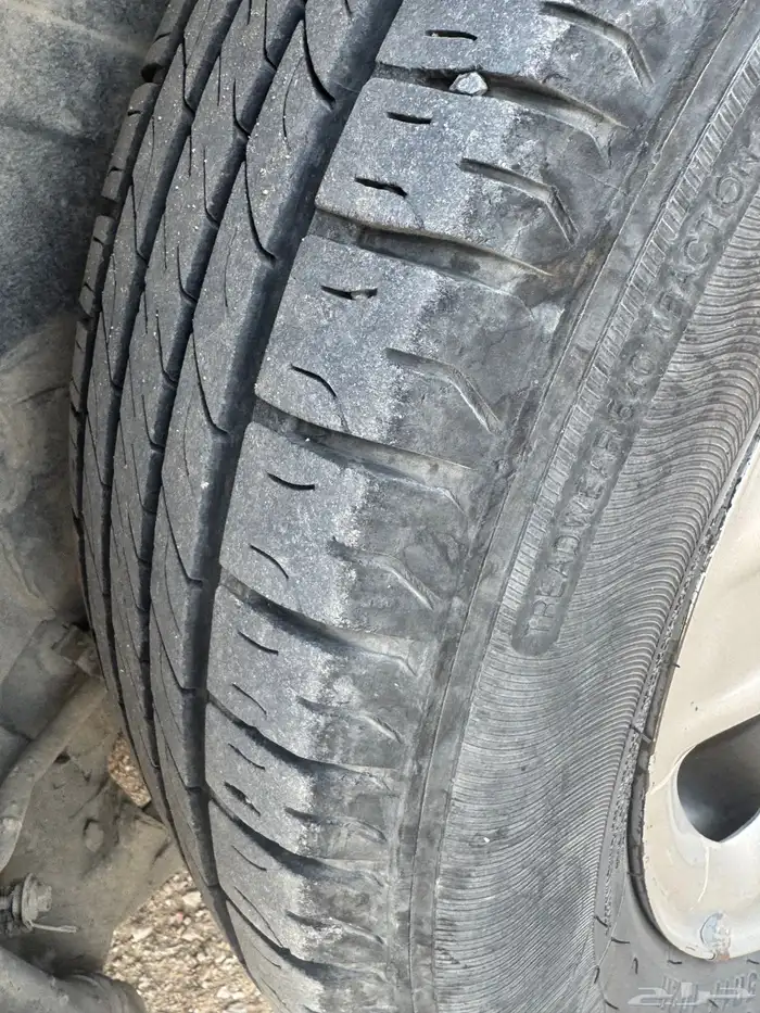 راف فور 2011 4