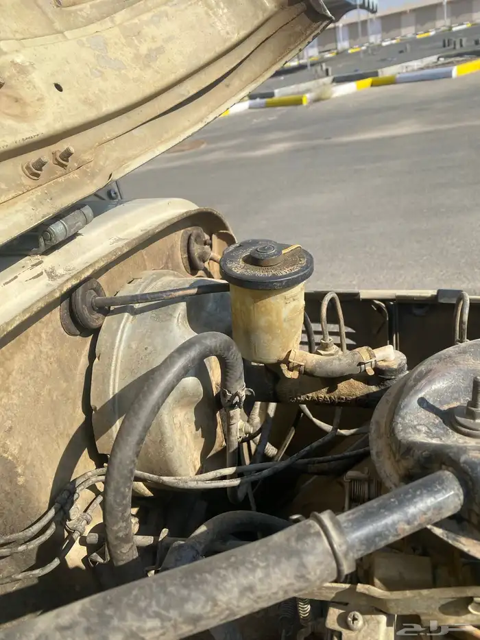 اللبيع شاص وكاله 8