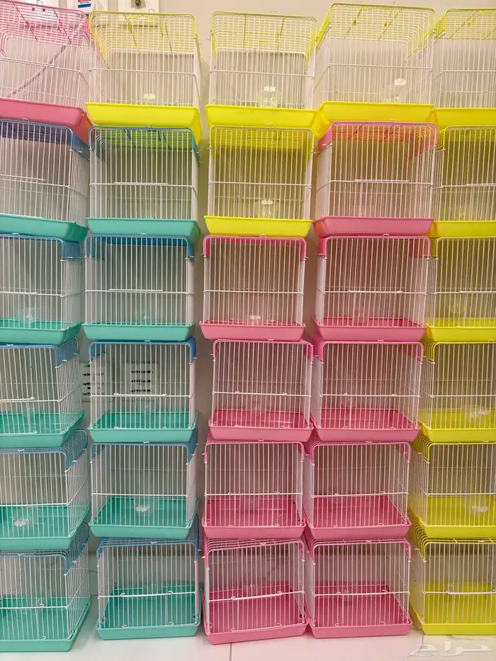 بط بكيني مطعم ومحصن 7