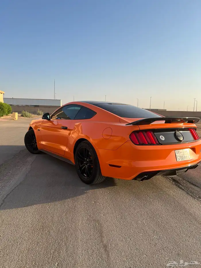 للبيع موستنج 2015 نظيف جدا 5