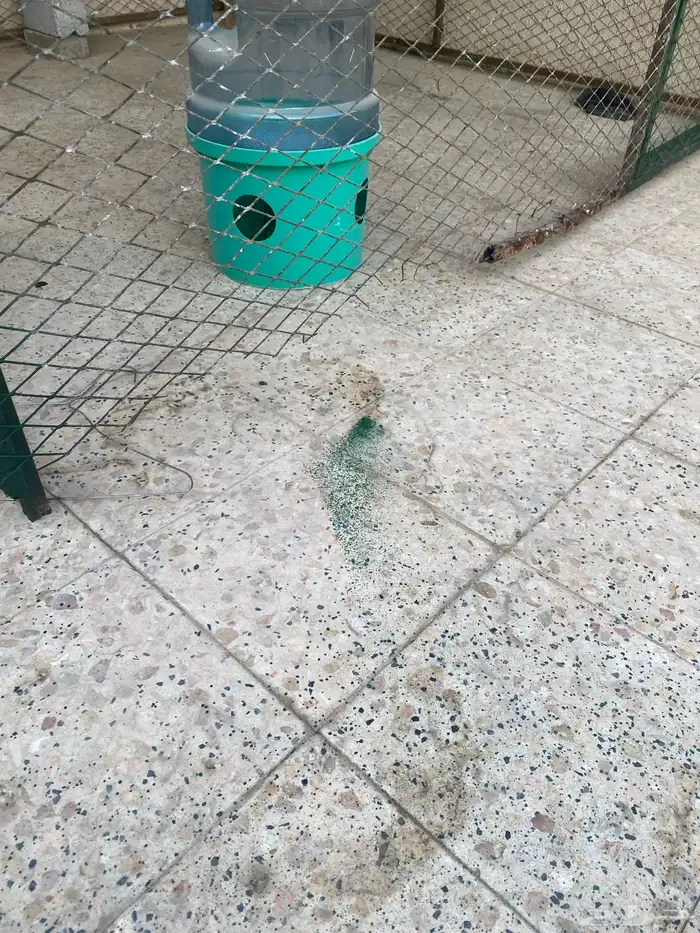 شبك حمام 2 2 3