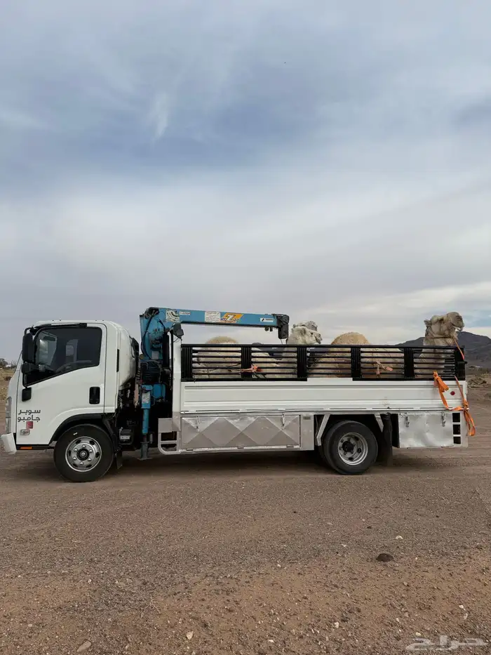 دنا هيدروليك 0