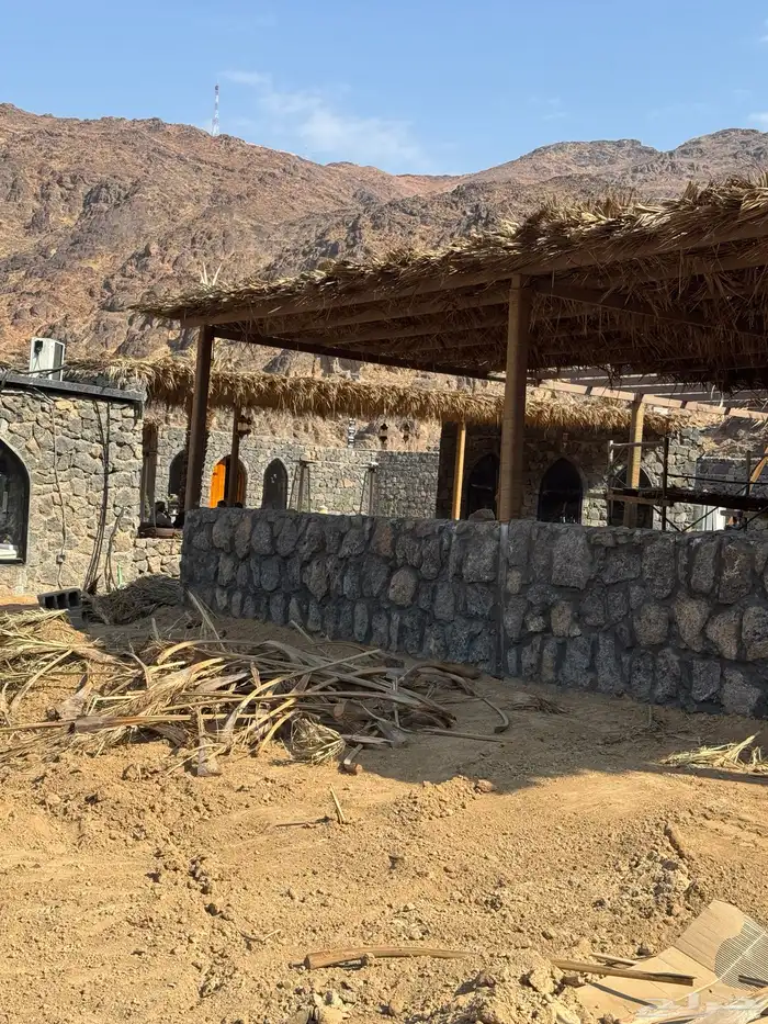 سعف نخل جريد توصل إلي جميع انحاء المملكة 3