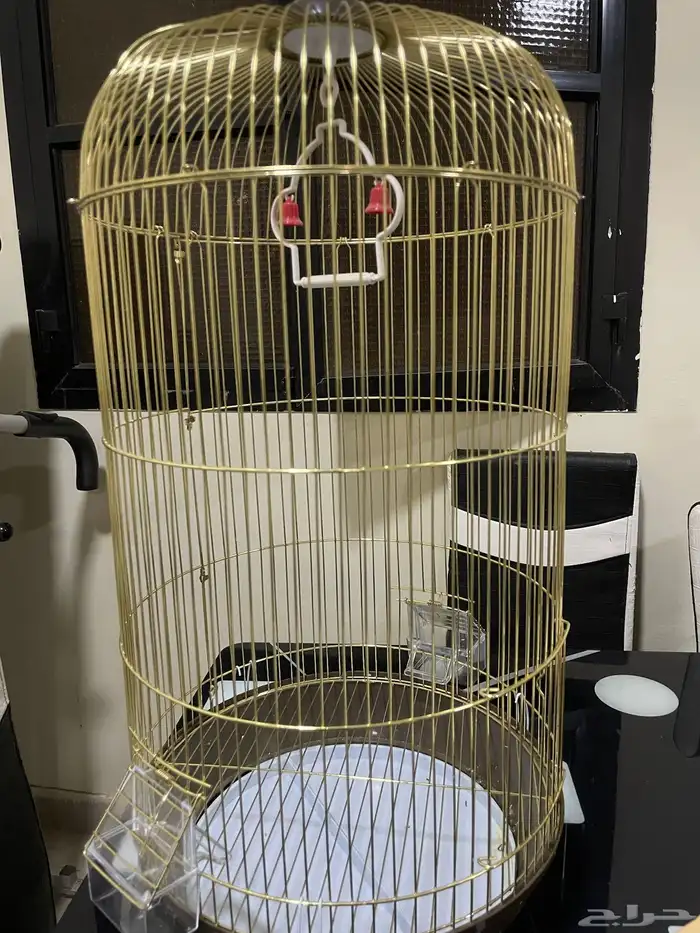 طائر كروان 2