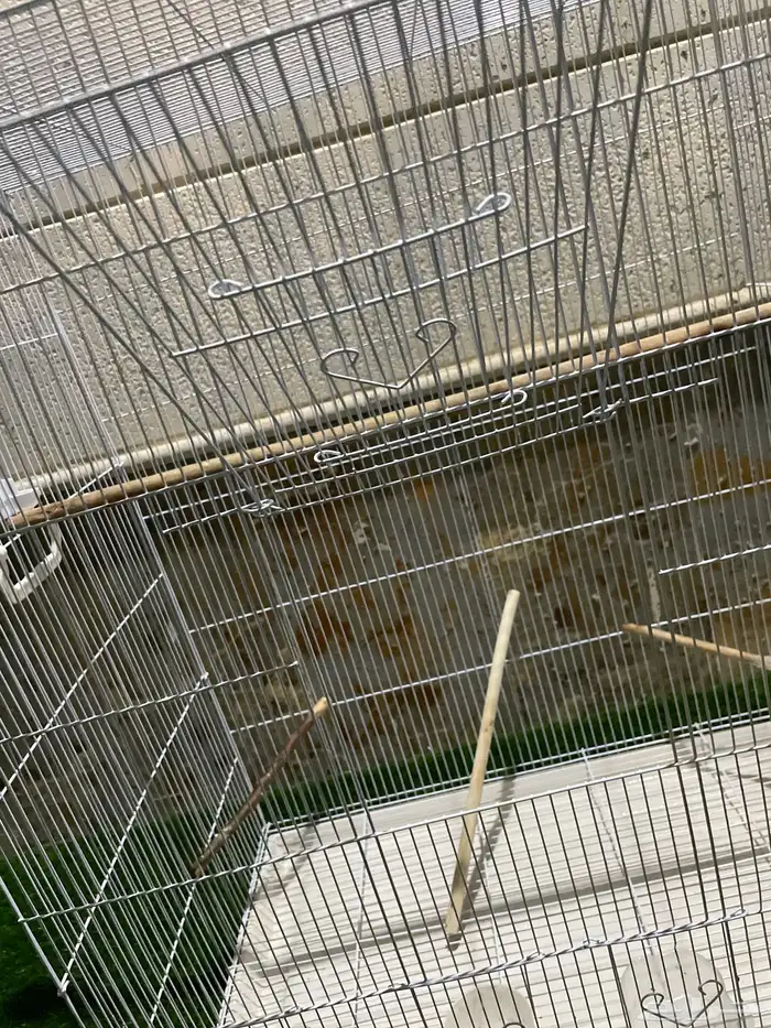 قفص طيور كبير 12