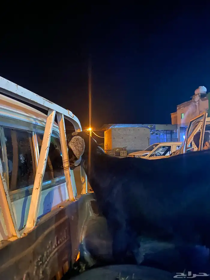 للبيع عند سديس مضرع 1