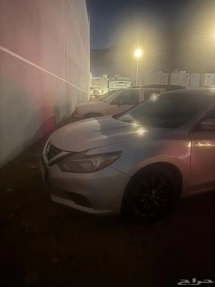 بيع التيما 2018 7