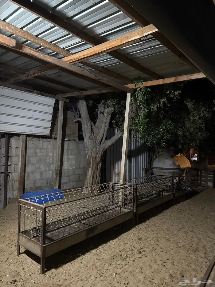 طاقات شمسيه من الف اظاااه إلى 3600 1