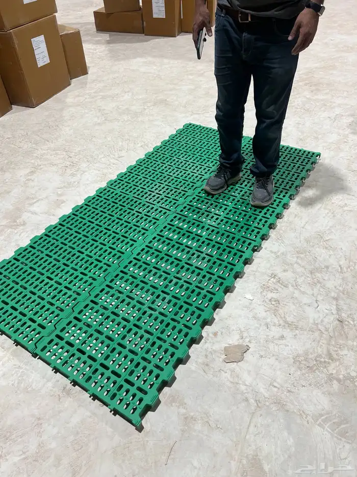 ارضيات اغنام 1