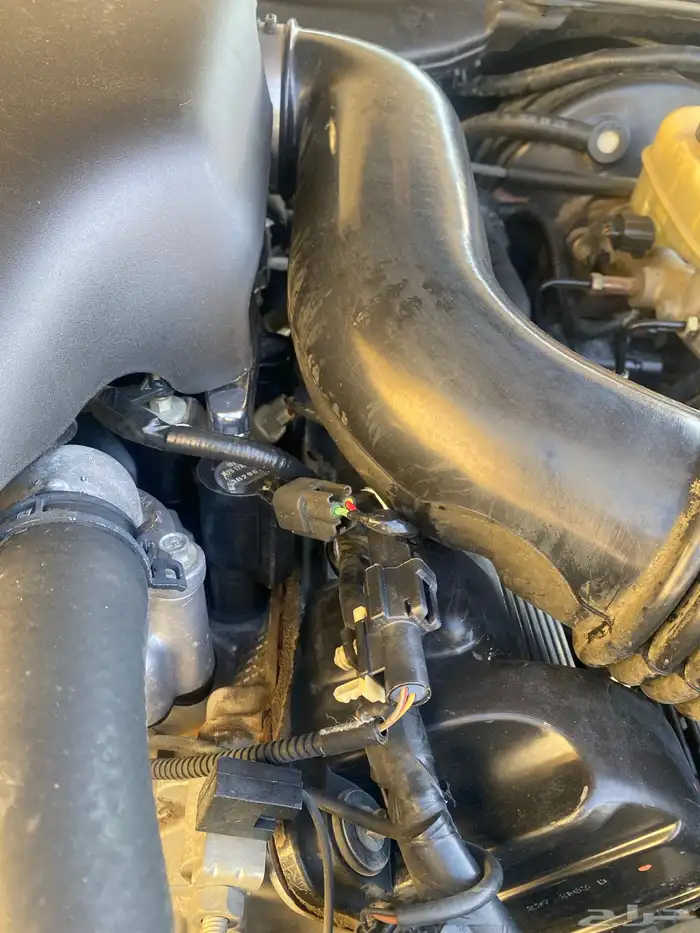 كراون فيكتوريا 2004 89