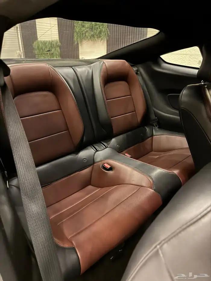 موستنج 5.0 2016 12