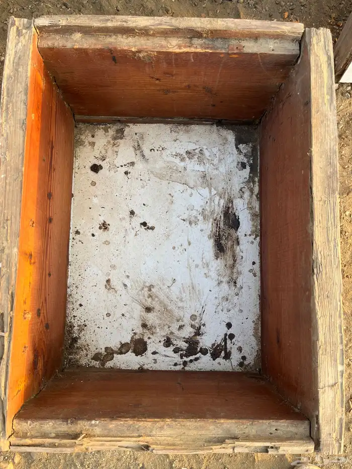 خلايا نحل افرنجي 13