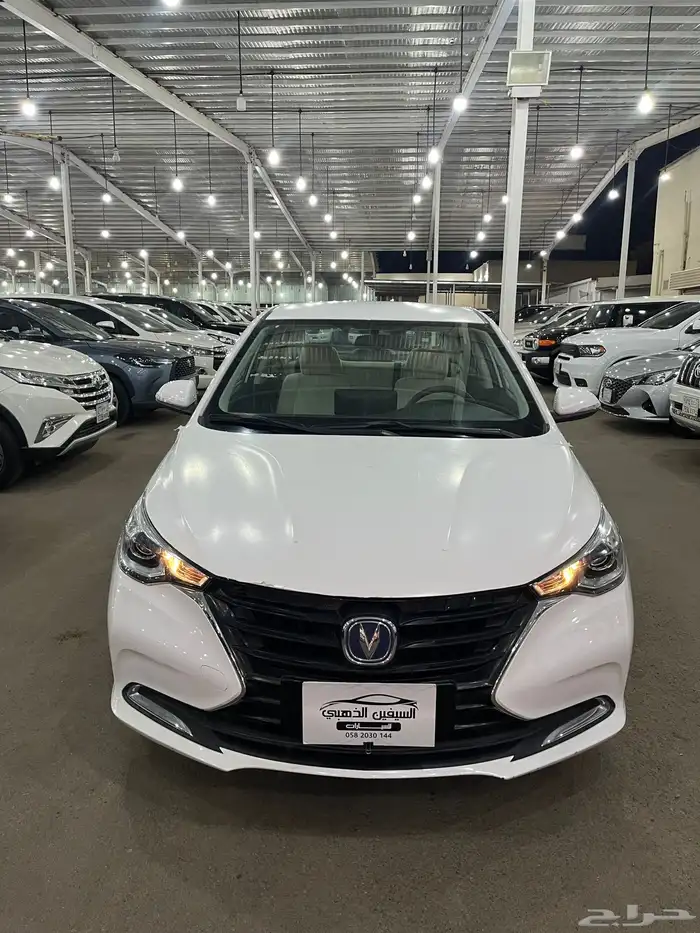 شانجان السفن 2024 1