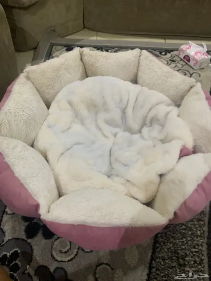 اعرض عليكم بيوت او مجالس سرر للقطط او الكلاب 1