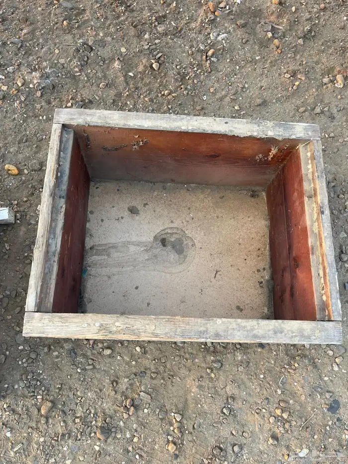 خلايا نحل افرنجي 29