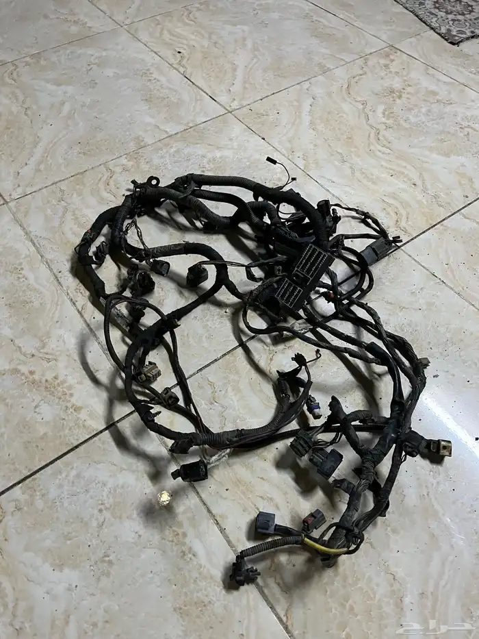 ظفيرة كابرس 2013 0