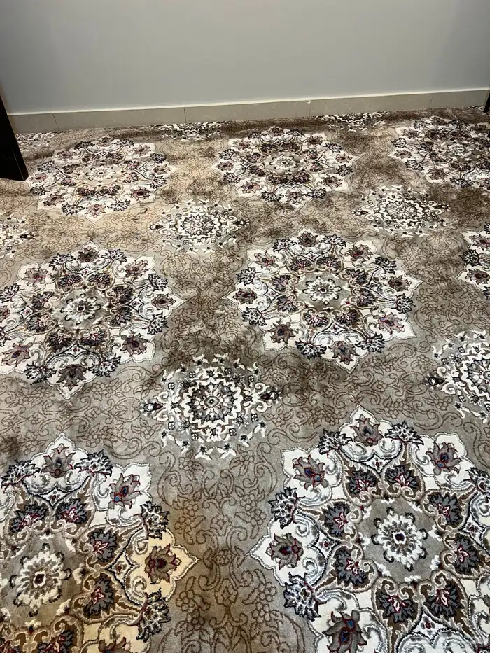 فرشة موكيت 2