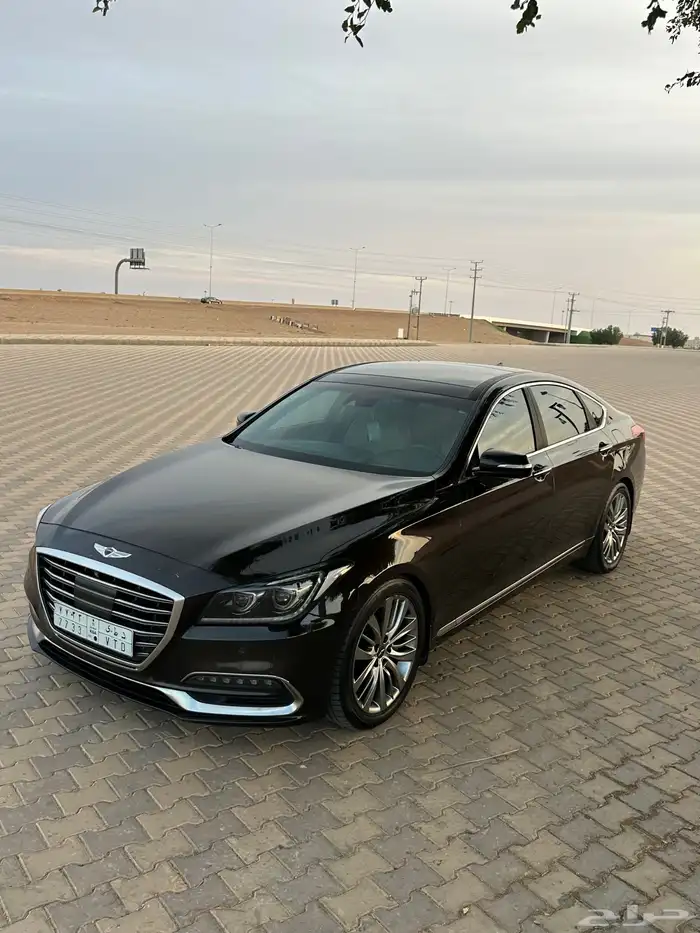 للبيع جينسس G80 م 2019 12
