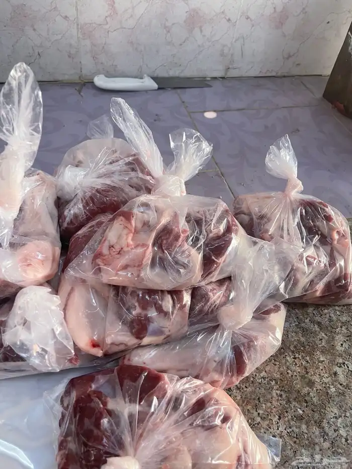 ذبائح حري وسواكني نظيفة على البرسيم والشعير شرط 9