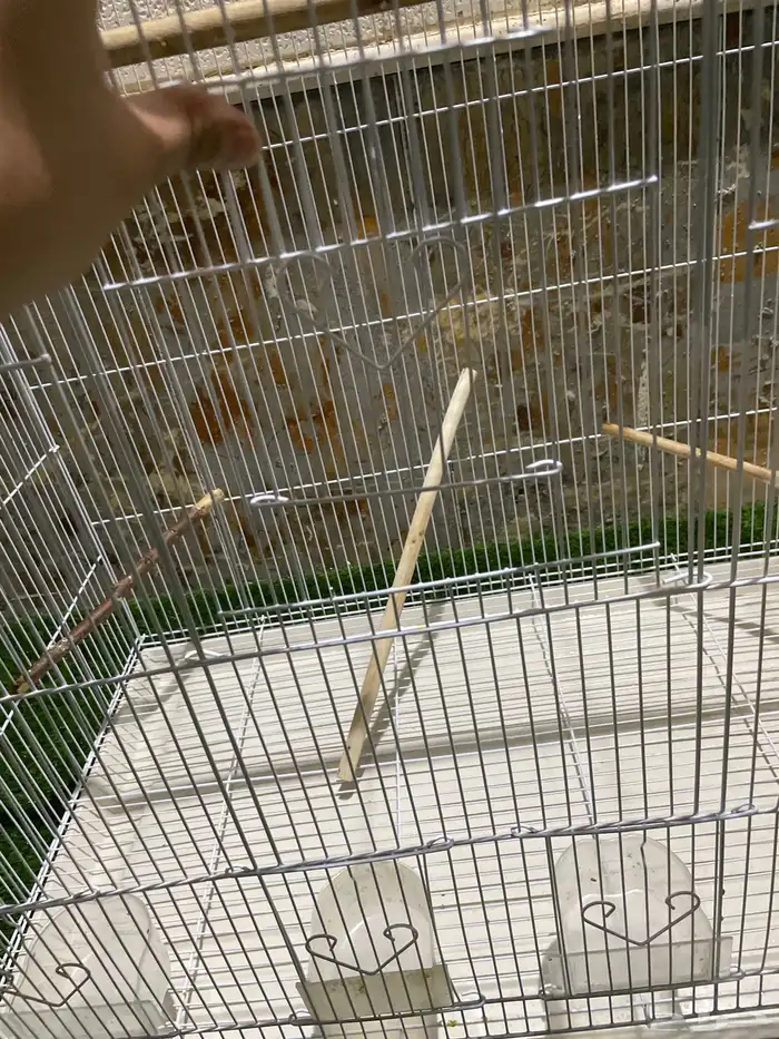 قفص طيور كبير 11