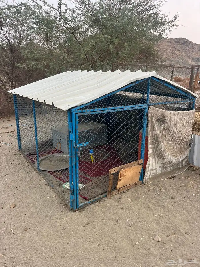 صندقتين للبيع وحده كبيره وحده وسط 0