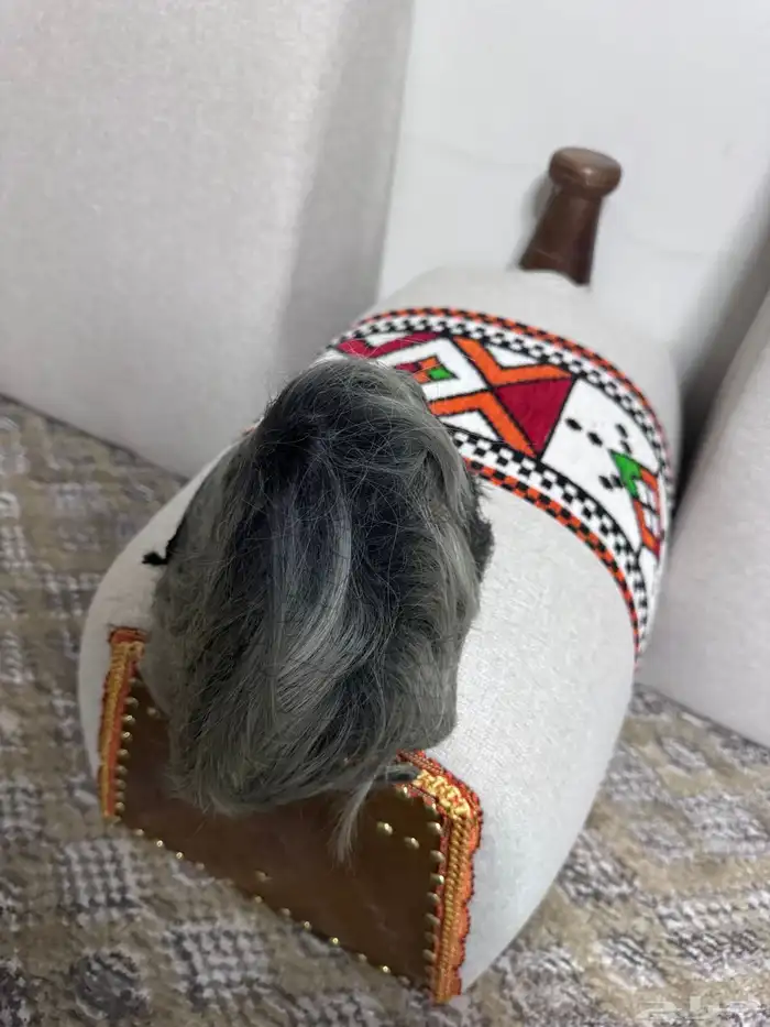 شعر مستعار نفس الاصلي للبيع يوجد حبتين فقط سعر مخفض جدا 3