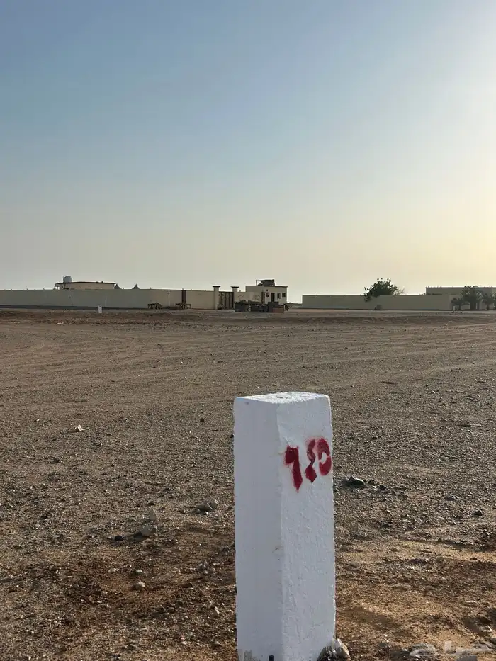 جوهرة العروس شارعين 16 و 16 3