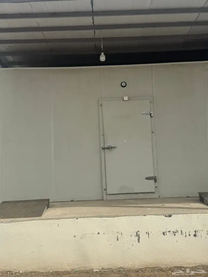 فرصة بالمدينة المنورة 1