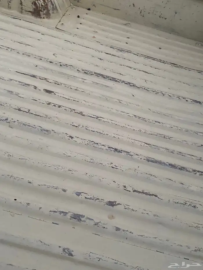 اللبيع شاص وكاله 33