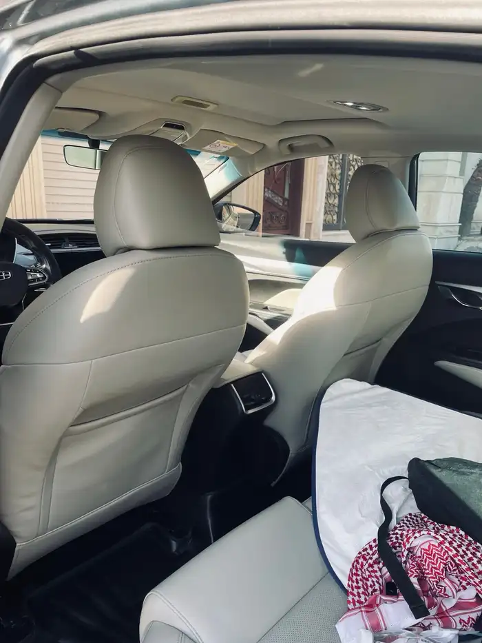 جيلي بينراي 2