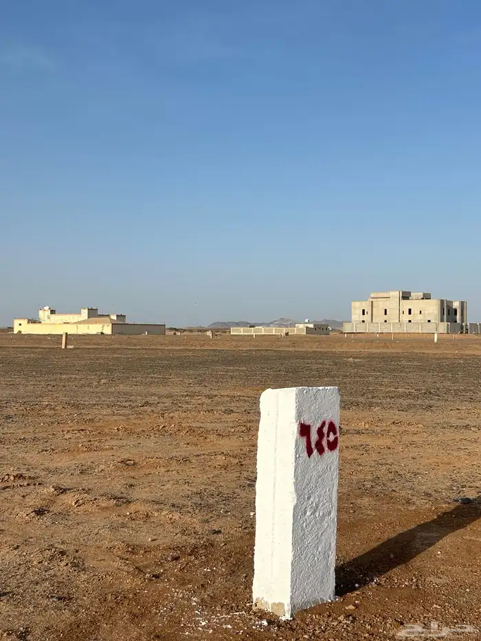 جوهرة العروس شارعين 16 و 16 2