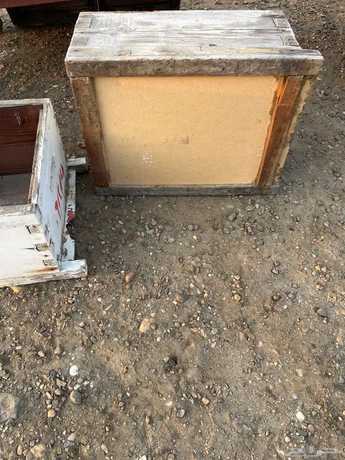 خلايا نحل افرنجي 28